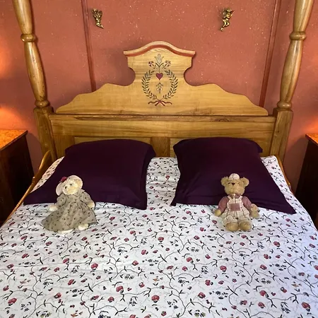 Des Amoureux Colmar